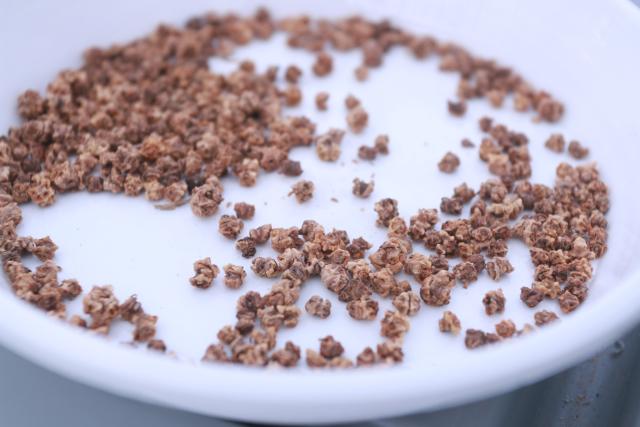 nasiona pod nowe uprawy